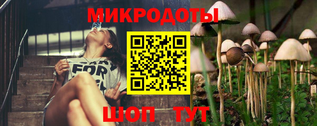 Новочебоксарск  наркотики  Вход с VPN  Галлюциногенные грибы MAGIC MUSHROOMS 