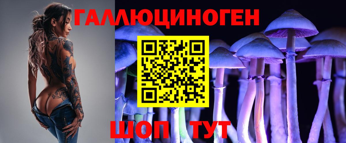 Псилоцибиновые грибы Psilocybine cubensis Новочебоксарск